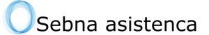 Osebna asistenca